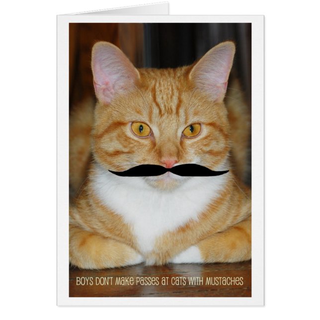 Boys Don't Make Passes at Cats With Moustaches (Front)