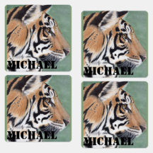 Boys Iron On Clothes Labels Tiger & NAME