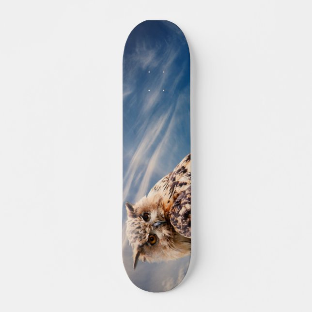 Boy's Owl Skateboard (Front)