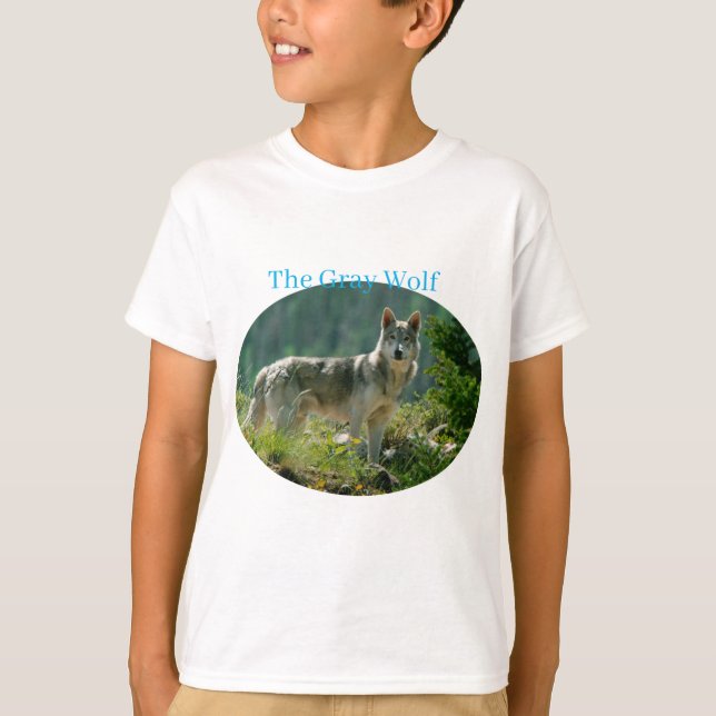 Boys T-Shirt (Front)