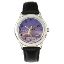 Boys Watch with White Fox
