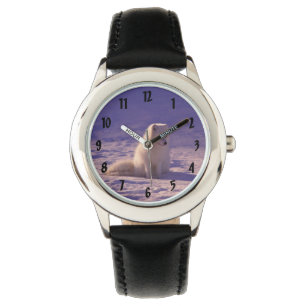 Boys Watch with White Fox