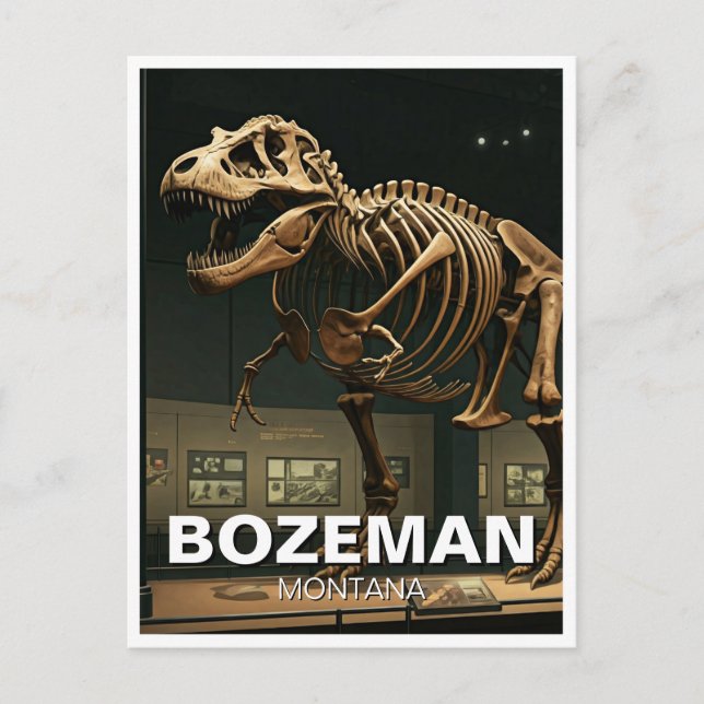 Bozeman Montana Museum of the Rockies  Postcard (Front)