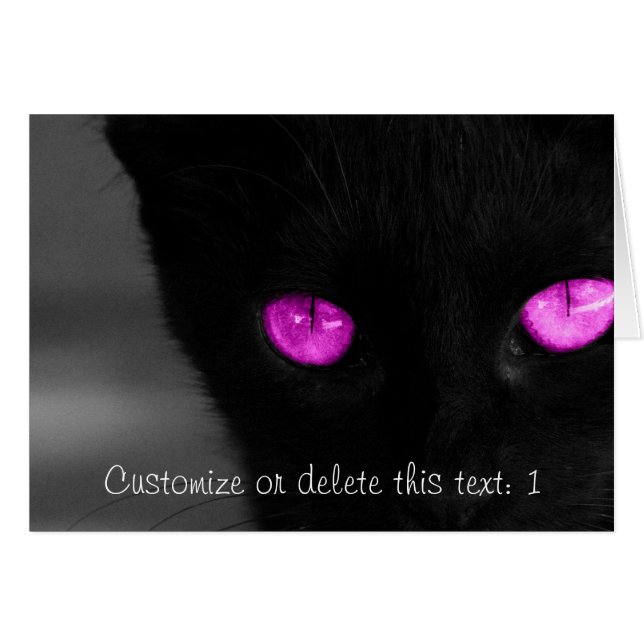 BPUR Black Chat Purple Eyes (Devant horizontal)