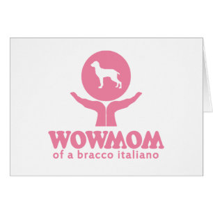 Bracco Italiano