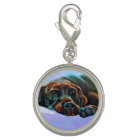 Chocolat détendu chien de laboratoire