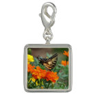 Quatrièmes ailes de merveille