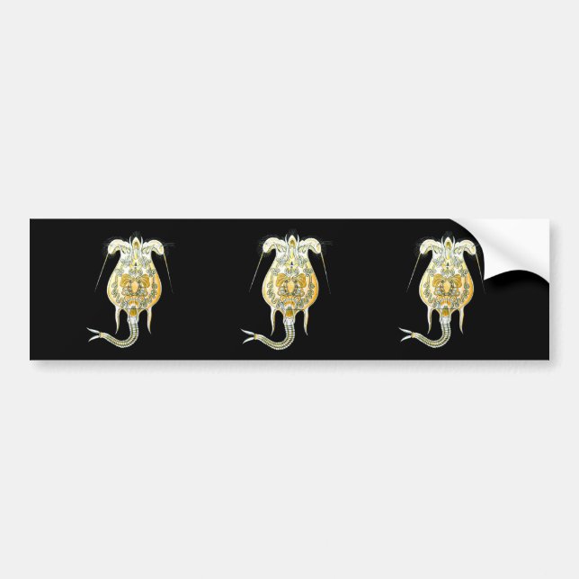 Brachionus Bumper Sticker (Front)