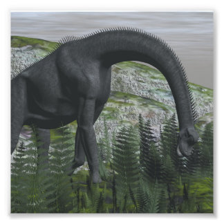 Brachiosaurus dinosaur eating fern - 3D render Photo Print