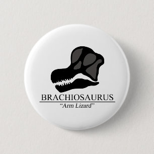 Brachiosaurus Skull 2 Inch Round Button