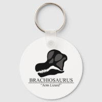 Brachiosaurus Skull