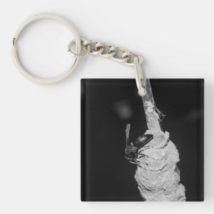 Brachygastra Keychain