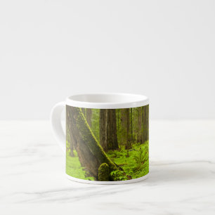 Bracken fern and redwood sorrel espresso cup