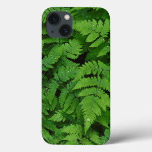 Bracken fern with rain drops, Washington State iPhone 13 Case