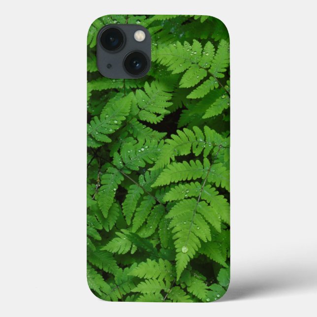 Bracken fern with rain drops, Washington State Case-Mate iPhone Case (Back)
