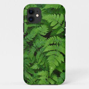 Bracken fern with rain drops, Washington State iPhone 11 Case