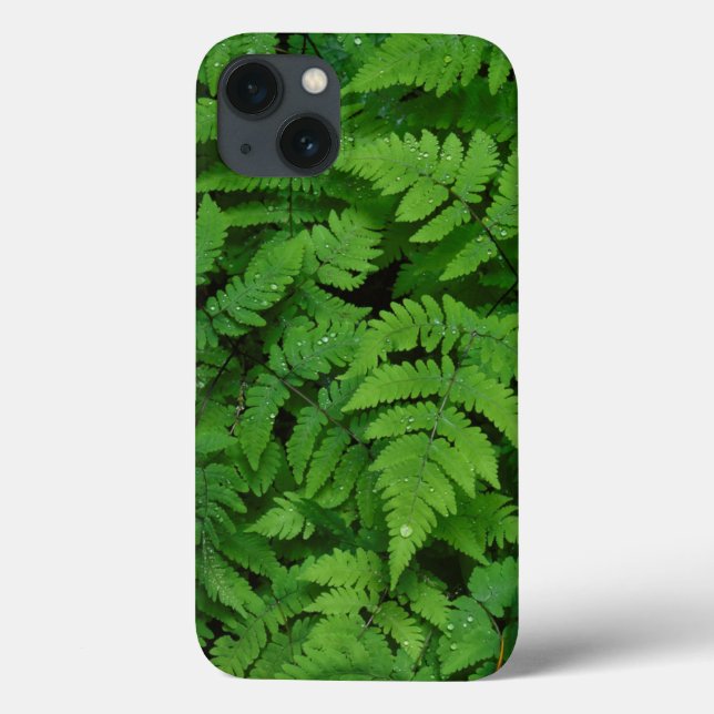 Bracken fern with rain drops, Washington State Case-Mate iPhone Case (Back)
