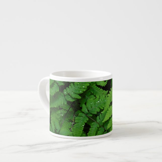 Bracken fern with rain drops, Washington State Espresso Cup (Front Left)