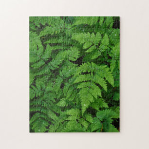 Bracken fern with rain drops, Washington State Jigsaw Puzzle