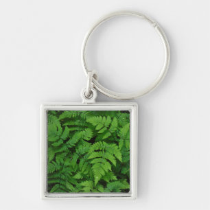 Bracken fern with rain drops, Washington State Keychain