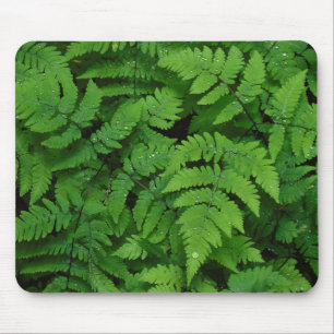 Bracken fern with rain drops, Washington State Mouse Pad
