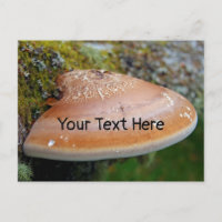 Bracket fungus customizable postcard