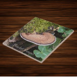 Bracket Fungus Nature Photo Tile<br><div class="desc">For nature and mushroom fans! Ceramic tile featuring the photo image of a Bracket Fungus, also known as Shelf Fungus, growing on a moss covered log. Select your tile size. Makes a great kitchen trivet!</div>