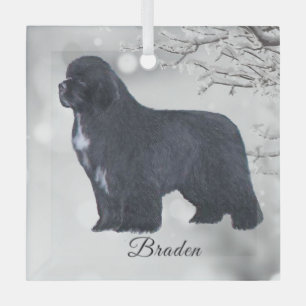 Braden Newf for Carol Glass Ornament
