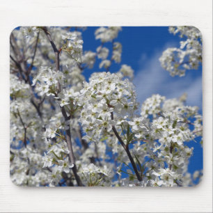 Bradford Pear Blooms Mouse Pad