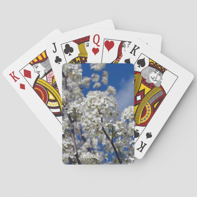 Bradford Pear Blooms Playing Cards (Back)