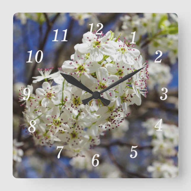 Bradford Pear Blooms Wall Clock (Front)