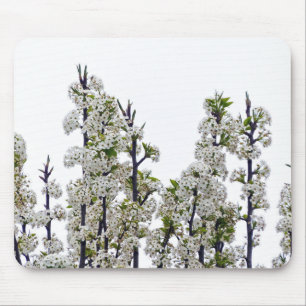 Bradford Pear Blossoms Mouse Pad
