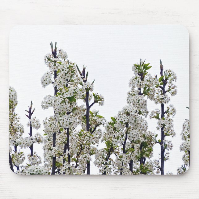 Bradford Pear Blossoms Mouse Pad (Front)