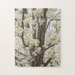 Bradford Pear Tree White Spring Floral Nature Jigsaw Puzzle
