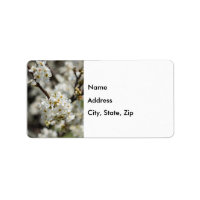Bradford Select Focus Address Label