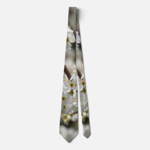 Bradford Select Focus Cravate