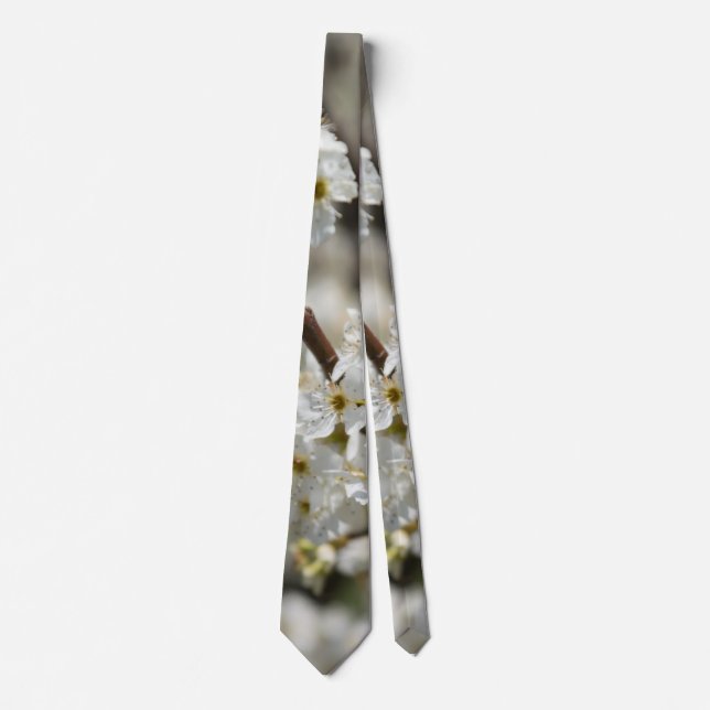 Bradford Select Focus Cravate (Devant)