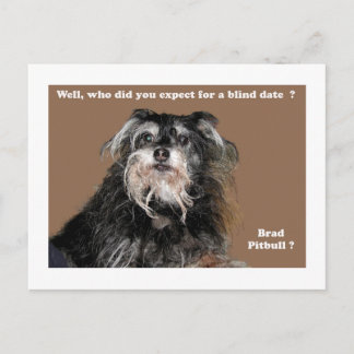 bradpitbull postcard