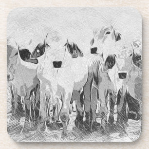 Brah-avo Set of 6 Coasters