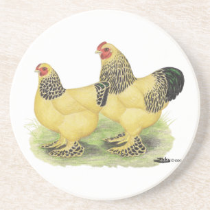 Brahma Buff Pair Coaster