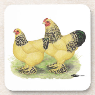Brahma Buff Pair Coaster