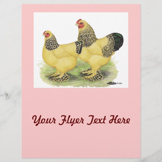 Brahma Buff Pair Flyer (Front)