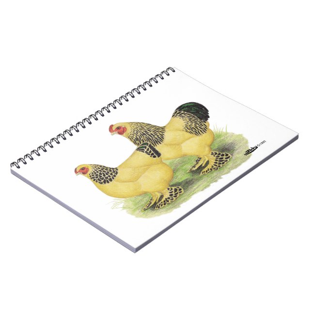 Brahma Buff Pair Notebook (Left Side)