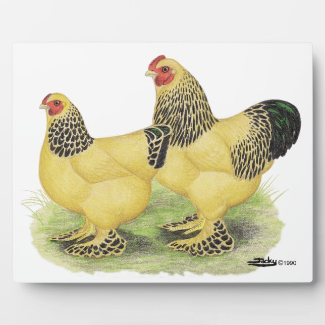 Brahma Buff Pair Plaque (Front)