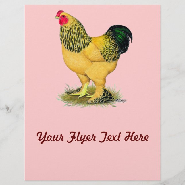 Brahma:  Buff Rooster Flyer (Front)