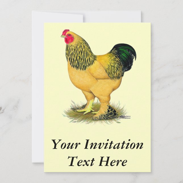 Brahma:  Buff Rooster Invitation (Front)