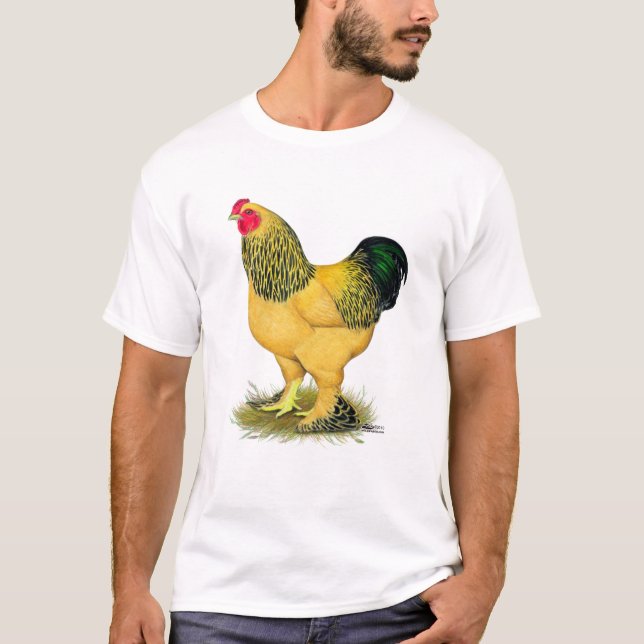 Brahma:  Buff Rooster T-Shirt (Front)