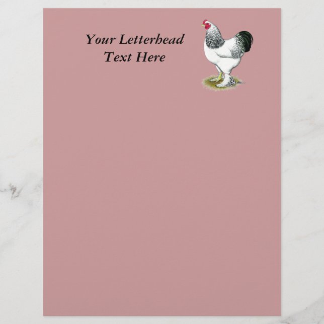 Brahma:  Light Rooster (Front)