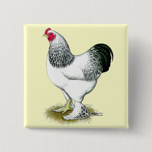 Brahma:  Light Rooster 2 Inch Square Button