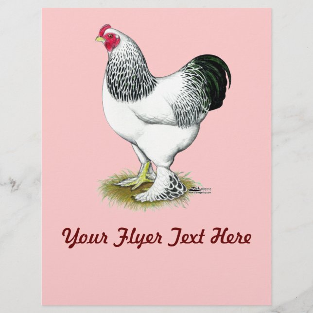 Brahma:  Light Rooster Flyer (Front)